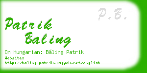 patrik baling business card